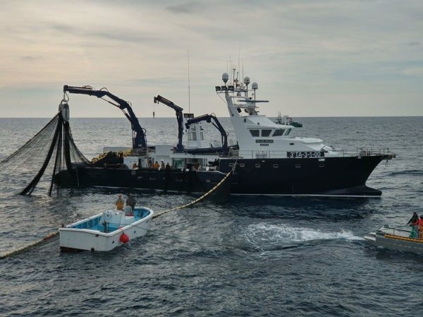 Balfegó inicia este lunes la campaña de pesca de atún rojo con 3.700 toneladas asignadas