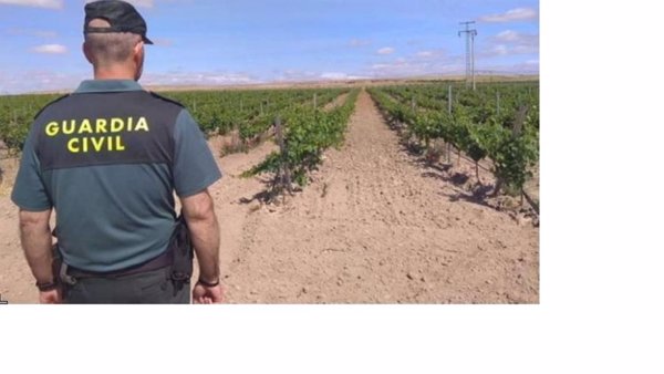 Investigado un ex trabajador de un bodega de Ribera por acceder al sistema informático desde otra empresa