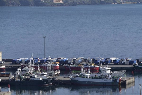 El 87% de españoles quiere que el Gobierno asigne más cuotas a los pescadores de pequeña escala, según Oceana