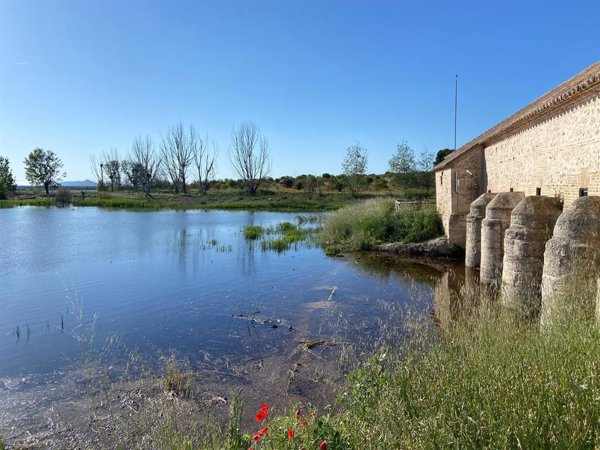 Ecologistas, SEO/BIRDLIFE y WWF reclaman una solución al deterioro del Parque Nacional de las Tablas de Daimiel