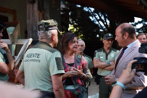La Junta inicia los trabajos para reintroducir el quebrantahuesos en la Sierra de Grazalema (Cádiz)