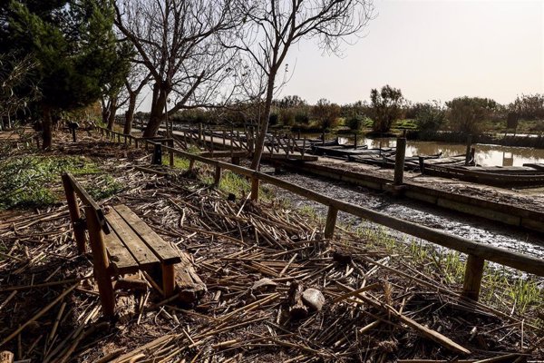 Representantes de diez países europeos visitan esta semana l'Albufera para conocer los daños de la dana