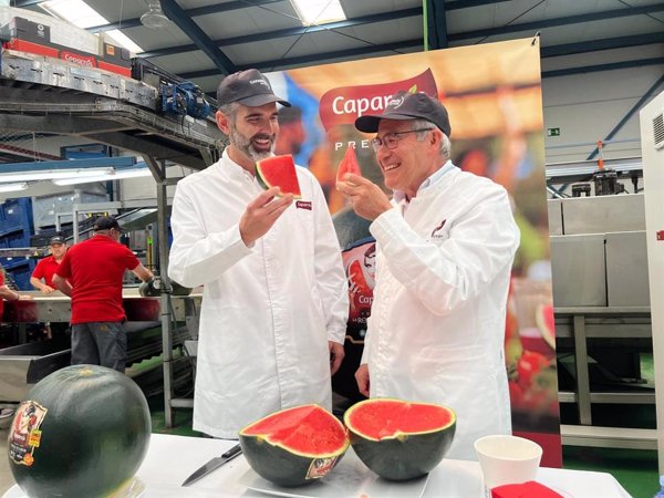 Almería prevé exportar 631.000 toneladas de sandía esta campaña con un crecimiento del 21,4% en volumen