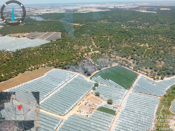 Efectivos de bomberos trabajan para extinguir un incendio forestal en Moguer (Huelva)