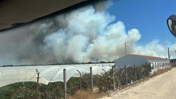 El incendio forestal de Moguer (Huelva) afecta a chabolas de un asentamiento de la zona