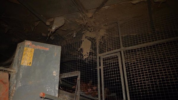 Denuncian a una granja avícola de Mallorca en la que las gallinas conviven con cadáveres, ratas y suciedad extrema