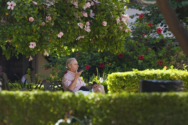 España se enfrenta a la semana con mayor incidencia de alergia primaveral en lo que va de 2025, según Eltiempo.es