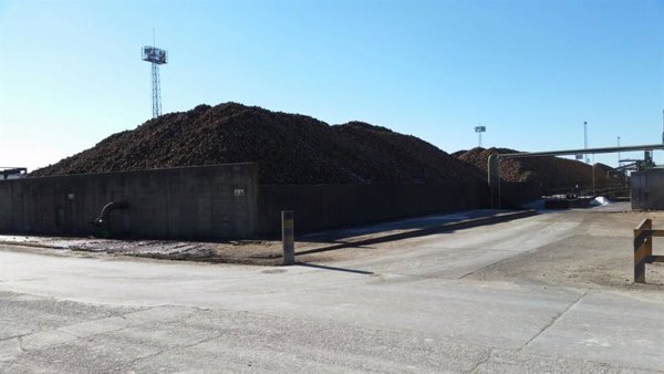 Azucarera anuncia un ERE para 251 empleados, el 26% de la plantilla, y cierre de planta de La Bañeza (León)