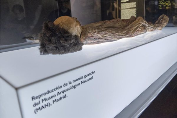 CC invita al ministro Urtasun al MUNA para que evalúe el traslado de la momia guanche a Tenerife