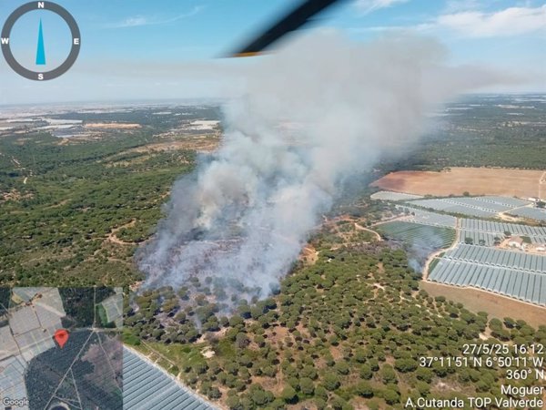 Declarado un incendio en el paraje Cruz del Arpa de Moguer (Huelva), el segundo en la zona en 24 horas
