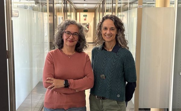 El ISCIII profundiza en el estudio de escalas para evaluar la enfermedad de Parkinson