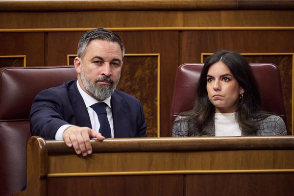 Abascal reprocha al PP su pacto en la renovación del TC tras suspender artículos de la Ley de Concordia valenciana