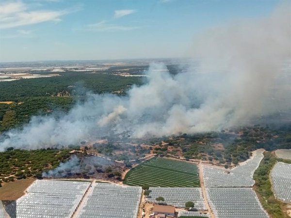 El Infoca prevé controlar el incendio de Moguer (Huelva) este miércoles aunque su extinción será 