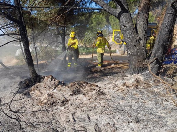 El Infoca da por controlado el incendio en el paraje Cruz del Arpa de Moguer (Huelva)