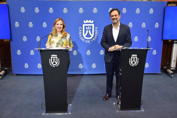 El Cabildo muestra su rechazo a la construcción de dos parques eólicos en Tenerife por sus 