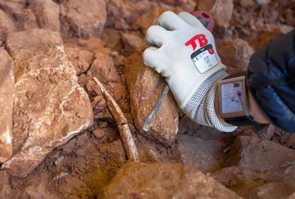 El PP emplaza al Gobierno desde el Senado a financiar la investigación en los yacimientos arqueológicos de Atapuerca