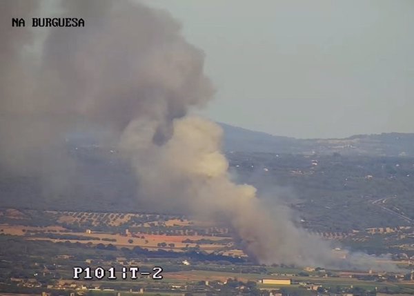 Declarado un incendio forestal fuera de control en una zona habitada cerca de Sant Jordi (Palma)