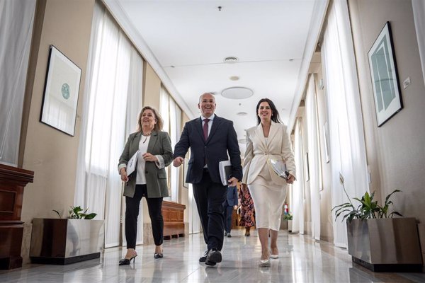 Ofensiva de PP en el Congreso para que Marlaska y cargos de Interior expliquen las gestiones de Leire Díez contra la UCO