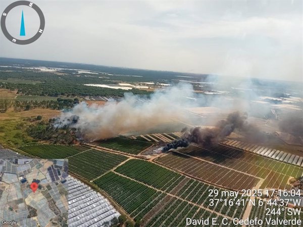 Extinguidos los incendios del paraje del Pilonar y Moguer (Huelva) declarados este jueves