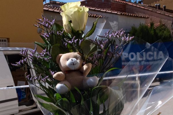 Expertas en violencia vicaria prevén realizar una guía interactiva dirigida a profesionales y a madres protectoras