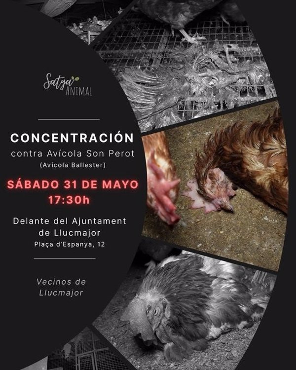 Vecinos de Llucmajor (Mallorca) y ONG animalistas se concentrarán mañana para exigir el cierre de la granja denunciada