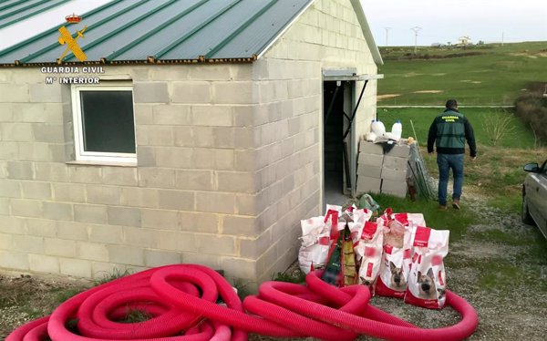 Un año de cárcel para el autor del atropello de la S-20 por la muerte de 29 perros en Tagle (Cantabria)