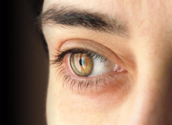 Diseñan microesferas cargadas con una combinación de fármacos para el tratamiento integral del glaucoma