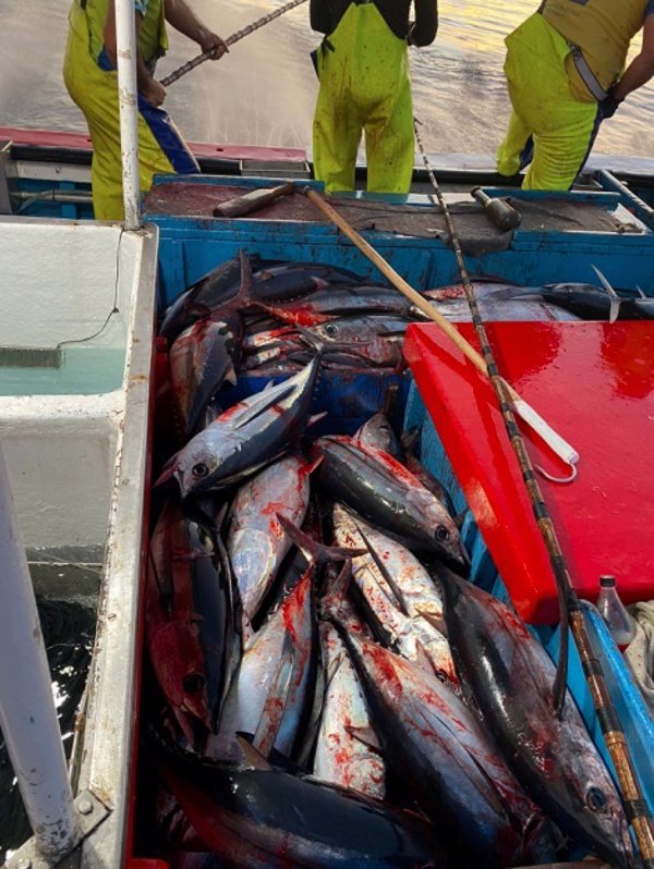 Transportes facilita faenar con seguridad a los barcos de pesca local y litoral en la campaña del bonito