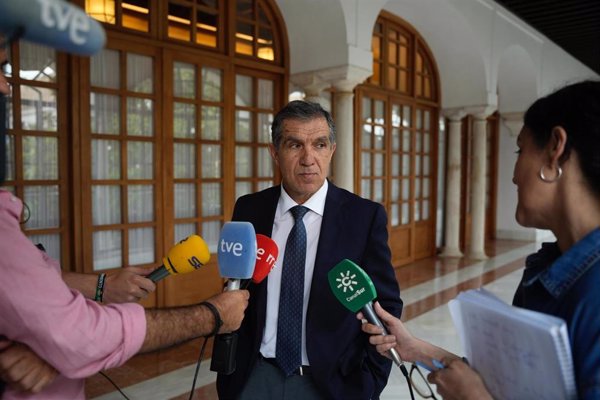 Presidente del TSJA pide más juzgados y jueces ante el 