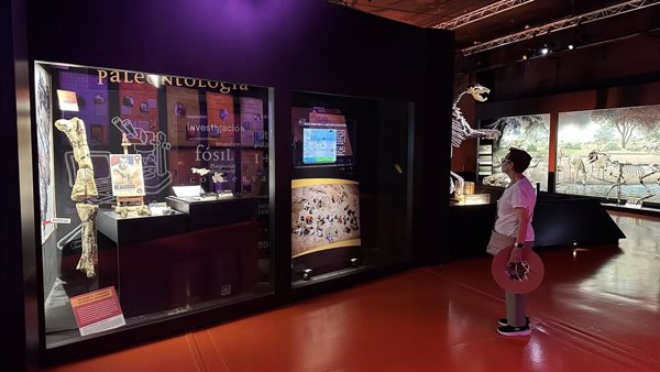 El cráneo de estegosaurio más completo de Europa se encuentra en el Museo Aragonés de Paleontología en Dinópolis