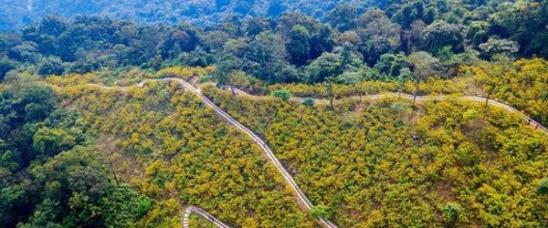 Meliá logra la neutralidad en carbono en 4.000 eventos en 2024 con su programa 'Road to Net Zero Events'