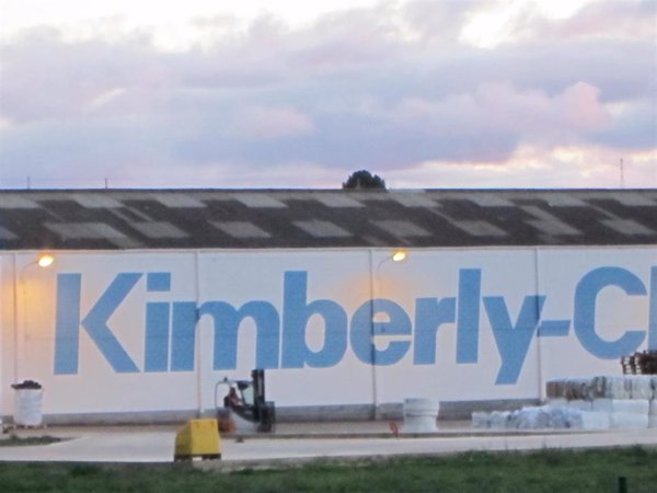 La brasileña Suzano y el dueño de Kleenex se asocian para crear una empresa global de papel higiénico