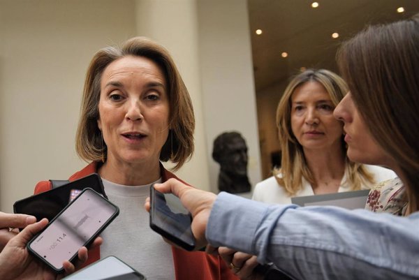 Gamarra llama a los españoles 