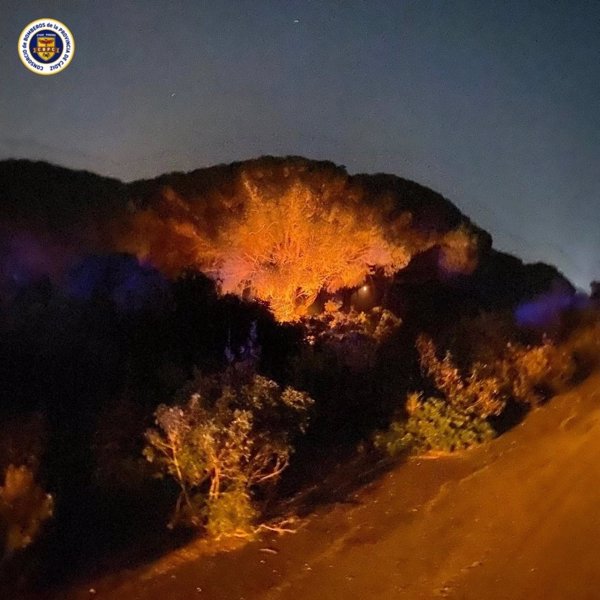 Infoca trabaja en un incendio declarado de madrugada en Dehesa de Yeguas en Puerto Real (Cádiz)