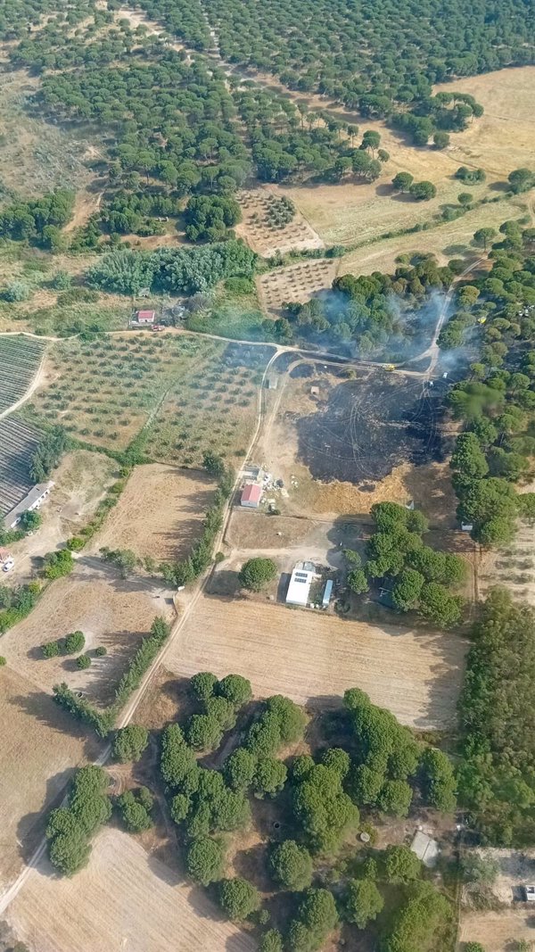 Un nuevo incendio afecta a otro asentamiento y eleva a ocho los fuegos en Lucena (Huelva) desde el 29 de mayo