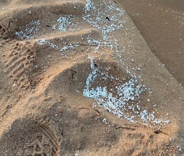 Cerradas preventivamente las playas valencianas de Daimús, Miramar, Bellreguard, Piles y Guardamar por vertido