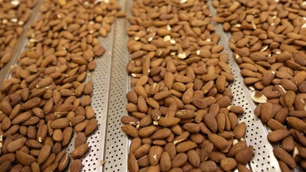 La OPA de exclusión de Borges sobre su filial de frutos secos BAIN logra un respaldo del 95,87%