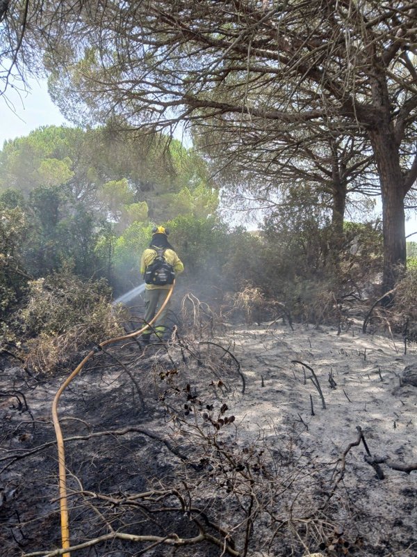 Alcaldesa de Puerto Real (Cádiz) solicita una investigación formal por el incendio en la Dehesa de Yeguas