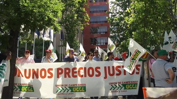 Cerealistas piden seguimiento riguroso de importaciones de cereales tras fin del régimen temporal con Ucrania