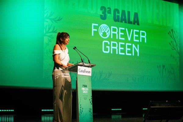 El Real Betis impulsa la presentación de seis proyectos internacionales para