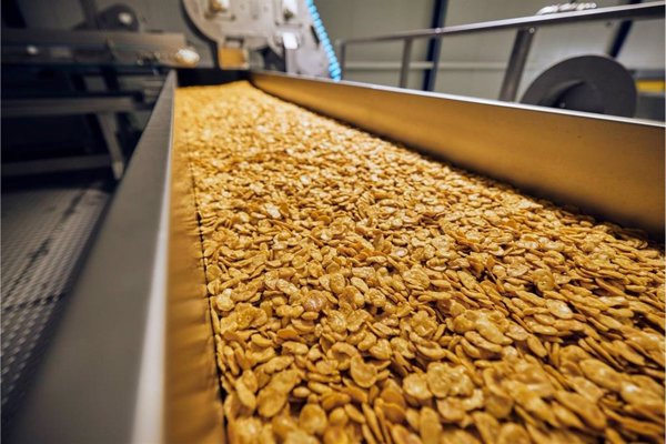 Importaco logra en 2024 un beneficio neto de 30,2 millones de euros, un 16% más