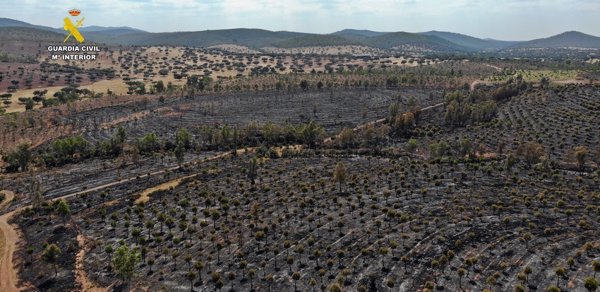 Cuatro detenidos por provocar un incendio forestal en Sierra de Manchita(Badajoz) por negligencia y huir sin avisar
