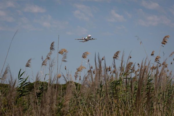 SEO/BirdLife rechaza ampliar el Aeropuerto de Barcelona por su 