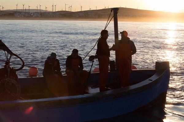 Ecologistas celebran el fallo del TJUE contra pesca de fondo y piden a España y Portugal 