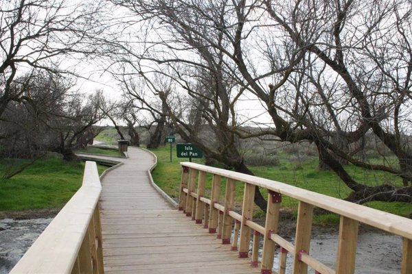 El plan de recuperación de las Tablas de Daimiel se someterá próximamente a diagnóstico público para su puesta en marcha