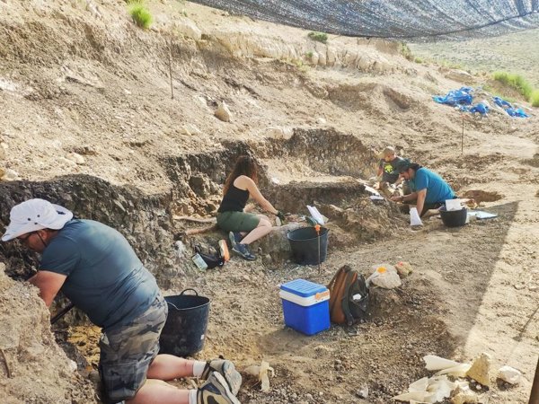 La campaña de excavación en el yacimiento Las Casiones (Teruel) saca a la luz las defensas de un gran mastodonte