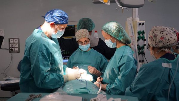 La biopsia líquida permite detectar marcadores del cáncer oral antes de que aparezca una lesión