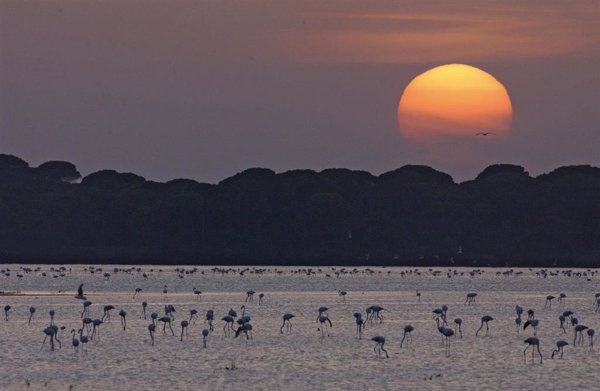 Expertos alertan sobre el peligro de desaparición de humedales por sobrexplotación de acuíferos y contaminación de aguas