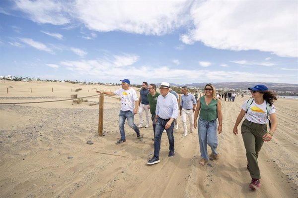 'Masdunas II' recupera el 85% del frente dunar degradado en Maspalomas (Gran Canaria) y protege 14.000 m3 de arena