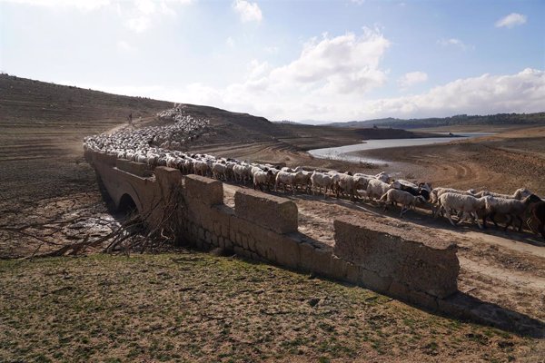 El coste de las sequías se ha duplicado desde el año 2000 y aumentará un 35% en 2035, según OCDE